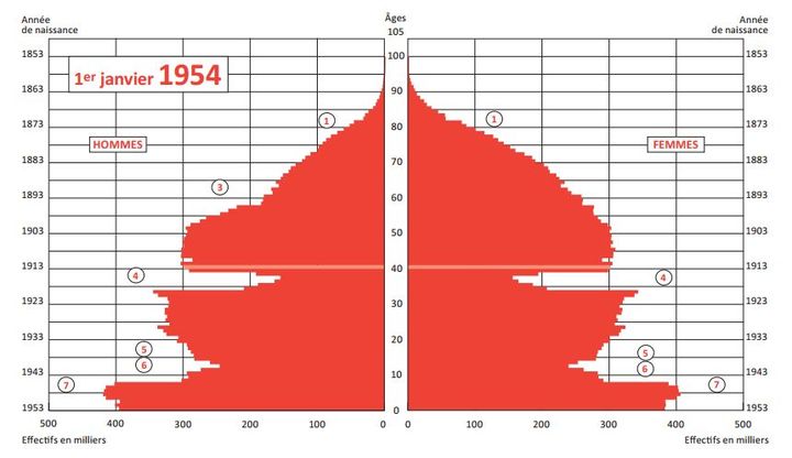 La pyramide des &acirc;ges de 1954 pr&eacute;sente plut&ocirc;t une forme de sapin. Les cons&eacute;quences de la premi&egrave;re et de la seconde guerre mondiale sont bien visibles.&nbsp; (INED)