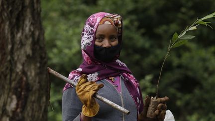 Cette Ethiopienne prend part à la campagne de reforestation lancée depuis 2019 par le gouvernement éthiopien. Malgré le coronavirus, le Premier ministre a fixé à 5 milliards l'objectif de plantation en 2020 (Addis Abeba, le 5 juin 2020). (Minasse Wondimu Hailu / ANADOLU AGENCY)