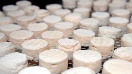  (Des fromages de chèvre retirés par la société Triballat © Maxppp)