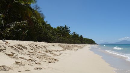 La plage de l'île de Marie-Galante, dans les Caraïbes. (VINCENT PILLET / RADIOFRANCE)