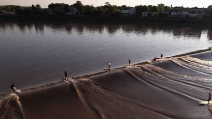 En Dordogne, un phénomène surprenant attire toujours de nombreux amateurs de glisse sur l'eau.&nbsp;Il s'agit du mascaret, une vague à contre-courant formée lors de gros coefficients de marée. (FRANCE 3)