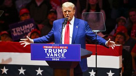 Le candidat républicain à la présidentielle américaine, Donald Trump, prend la parole lors d'un rassemblement au Madison Square Garden, à New York, le 27 octobre 2024. (STEVEN FERDMAN /SHUTTERSTOCK / SIPA)