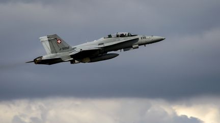 Un avion F-18 de l'arm&eacute;e suisse, le 13 novembre 2014.&nbsp; (FABRICE COFFRINI / AFP)