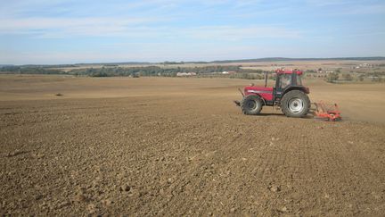 Un champ cultivé en agriculture bio en Meurthe-et-Moselle, en septembre 2018. Illustration (THIERRY COLIN / FRANCE BLEU SUD LORRAINE / RADIO FRANCE)