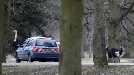 Une voiture de police quitte le zoo de Thoiry, le lendemain de la mort du rhinocéros "Vince", tué par des braconniers pour ses cornes. (THOMAS SAMSON / AFP)