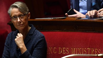 La ministre des Transports Elisabeth Borne, le 17 avril 2018, à l'Assemblée nationale. (GERARD JULIEN / AFP)