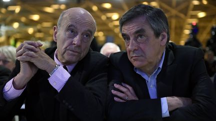 Alain Juppé (à gauche) et François Fillon lors du conseil national des Républicains, à Paris, le 13 février 2016. (LIONEL BONAVENTURE / AFP)