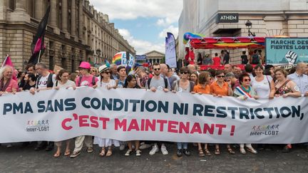Des manifestants pro-PMA, le 24 juin 2017 à Paris pour la Marche des fiertés. (JULIEN MATTIA / NURPHOTO / AFP)