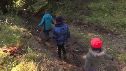 Dans le Cantal, des enfants gèrent une parcelle de forêt. Une façon de sensibiliser les plus jeunes à la protection de la planète.