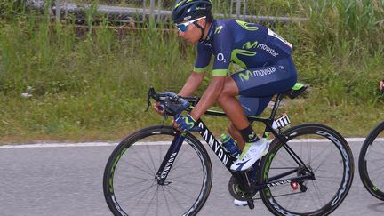 Le Colombien Nairo Quintana (DE WAELE TIM / TDWSPORT SARL)