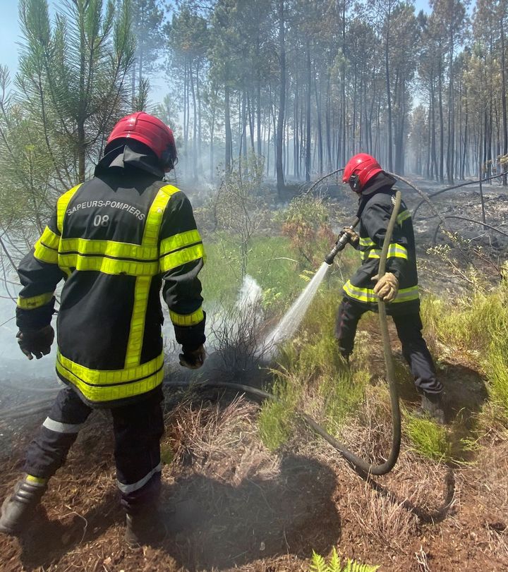 Les pompiers arrosent la terre et les racines pour éviter les reprises de feu, à Landiras le 17 juillet 2022. (ROMANE BRISARD / RADIO FRANCE)