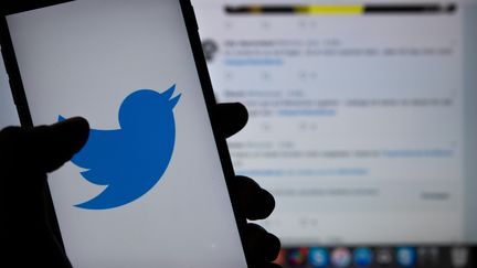 Le logo du réseau social Twitter affiché sur un smartphone à Berlin, le 23 avril 2019. (MONIKA SKOLIMOWSKA / DPA-ZENTRALBILD / AFP)