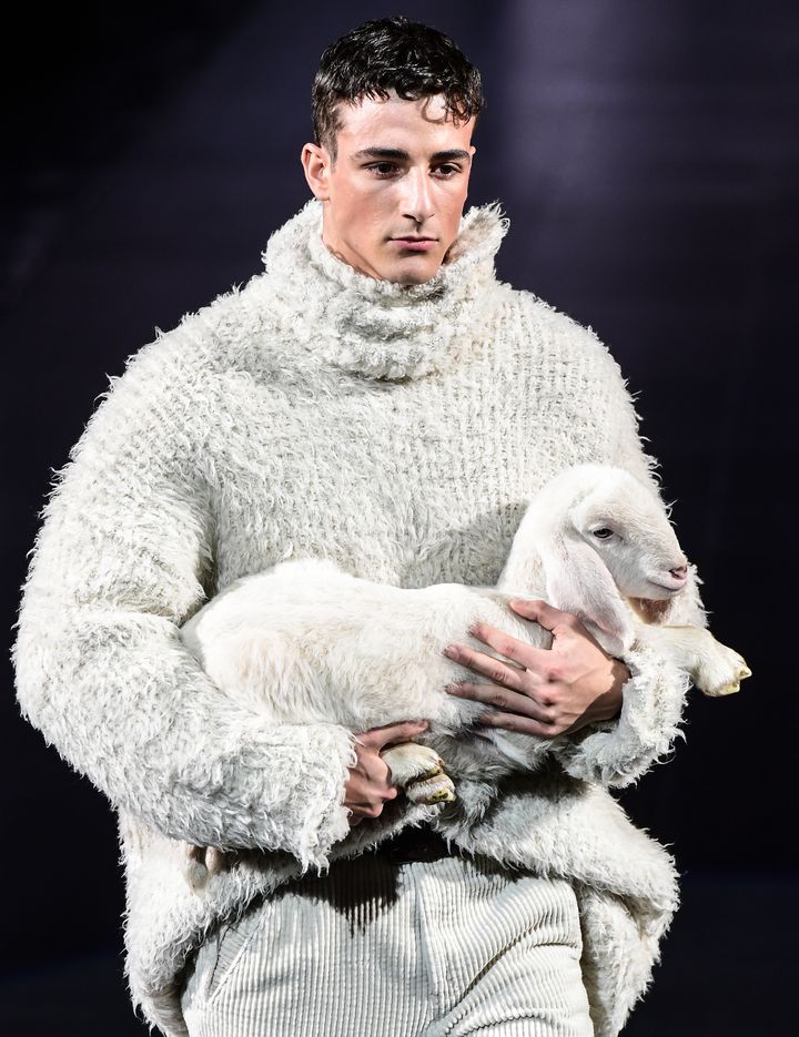 Un mannequin porte un agneau lors du défile Dolce &amp; Gabbana automne/hiver 2020/21 à la fashion week de Milan, le 11 janvier 2020. (MIGUEL MEDINA / AFP)