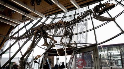 Une nouvelle espèce de dinosaure, exposée au premier étage de la Tour Eiffel
 (ROMUALD MEIGNEUX/SIPA/1806021544)