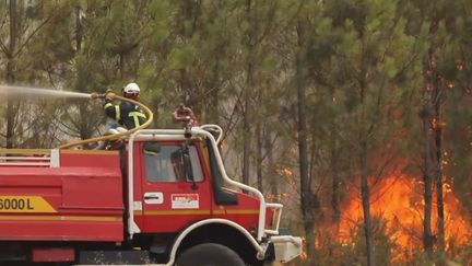 Jeudi 11 août, en Gironde et dans les Landes, plus d'un millier de pompiers se battaient encore sur plusieurs fronts. Ils affrontent des murs de flammes à certains endroits. (FRANCEINFO)