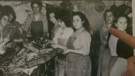 La famille Roque : plusieurs générations consacrées à la salaison de l'anchois, à Collioure (FRANCE 3)