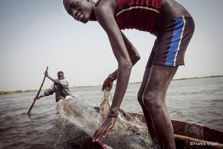 L&#039;eau du Nil, partage ou guerre?
 (Franck Vogel)