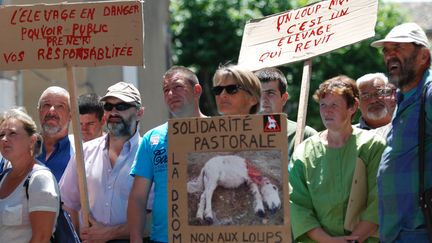 Des &eacute;leveurs manifestent contre le loup, le 16 juin 2014 &agrave; Privas (Ard&egrave;che). (CHRISTOPHE ESTASSY / CITIZENSIDE.COM)