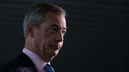  (Le groupe dirigé par Nigel Farage a été dissous © MAXPPP)