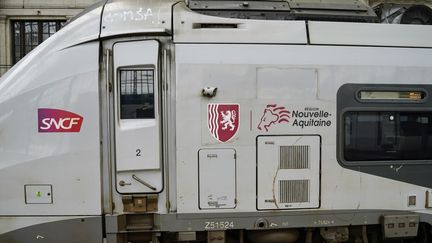 Un TER à Bordeaux (Gironde), le 26 mai 2024. (FREDERIC PETRY / HANS LUCAS / AFP)