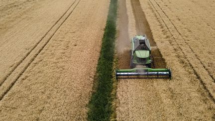 Un agriculteur récolte dans un champs de blé, à Sainte-Foy-d'Aigrefeuille (Haute-Garonne), le 21 juin 2022. (LIONEL BONAVENTURE / AFP)