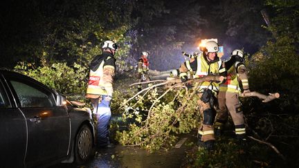 Les services d'urgence déblayent les arbres tombés qui ont chuté sur une voiture et bloquent une route à l'extérieur de Lund, dans le sud de la Suède, le 20 octobre 2023. (JOHAN NILSSON / TT NEWS AGENCY / AFP)