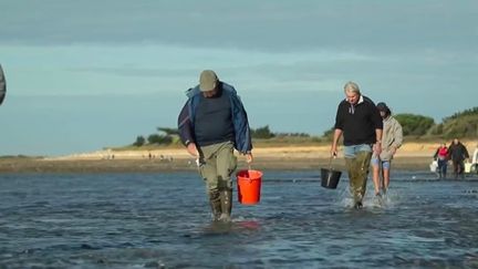 Météo : la prudence de mise à la mer