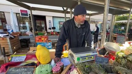 Colère des agriculteurs : à Nice, un producteur d'olives peine à vivre de son métier