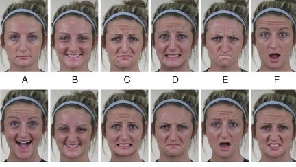 Des chercheurs américains ont pu mettre en évidence 21 états émotionnels, alors que six émotions&nbsp;étaient auparavant étudiées par les scientifiques&nbsp;: la peur, la colère, la joie, la tristesse, la surprise et le dégoût.&nbsp; (PNAS)