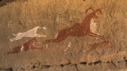 Peinture rupestre repr&eacute;sentant des chiens en train de chasser, sur le site pr&eacute;historique d'Acacus, en Libye.&nbsp; (PHILIPPE CROCHET / AFP)