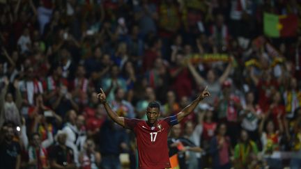 Gros match de Nani avec le Portugal (MIGUEL RIOPA / AFP)