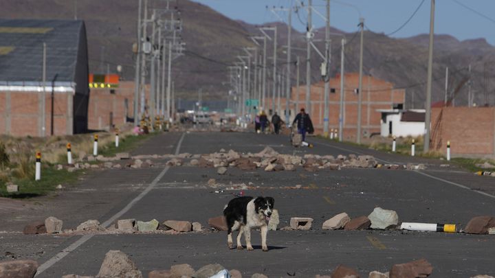 Un chien marche sur des barrages routiers mis en place par des manifestants anti-gouvernementaux à Desaguadero (Pérou), à la frontière avec la Bolivie, le 13 janvier 2023. (JUAN KARITA/AP/SIPA / SIPA)