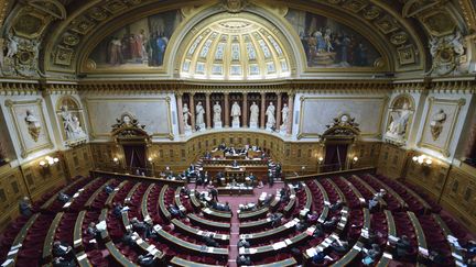 L'hémicycle du Sénat, au palais du Luxembourg, photographié en 2012. (ERIC FEFERBERG / AFP)