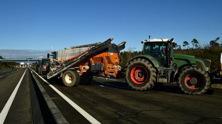 Des tracteurs bloquent l'autouroute A65 au niveau de Gaillères dans les Landes, le 24 janvier 2024. (GAIZKA IROZ / AFP)