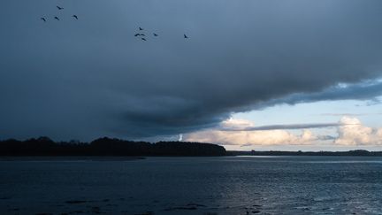 La presqu'île de Conleau (Morbihan), le 31 décembre 2020. (VALENTINO BELLONI / HANS LUCAS / AFP)