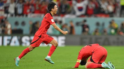 La joie des Sud-Coréens après leur victoire face au Portugal en Coupe du monde, le 2 décembre 2022. (GLYN KIRK / AFP)