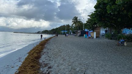 La plage du Gosier en Guadeloupe, le 4 août 2021. (BORIS LOUMAGNE / RADIO FRANCE)