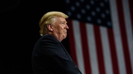 Le président des Etats-Unis Donald Trump lors d'un meeting à Youngstown, dans l'Ohio (Etats-Unis), le 25 juillet 2017. (JUSTIN MERRIMAN / AFP)