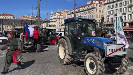 Colère des agriculteurs : la mobilisation se poursuit partout en France (France 2)