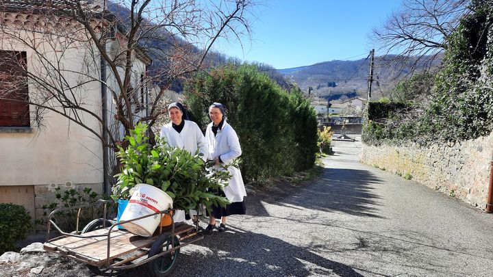 Des sœurs de la Famille missionnaire de Notre-Dame (AGATHE MAHUET/FRANCEINFO)