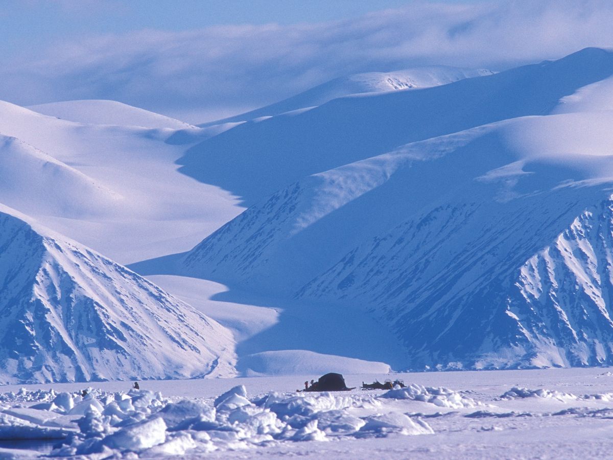 projet de biome arctique