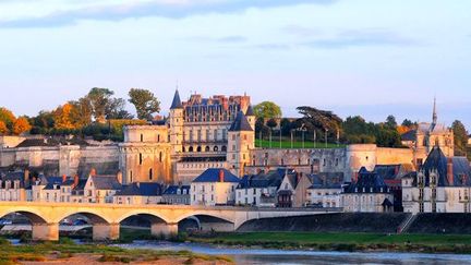 Le Château d&#039;Amboise
 (DR)