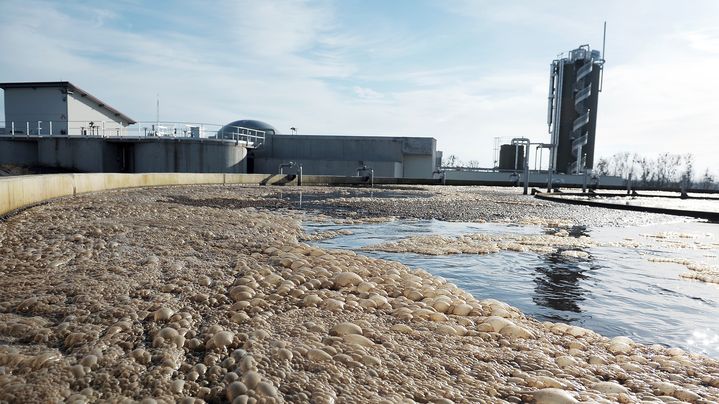 Une photo prise &agrave; Meistratzheim, pr&egrave;s de Krautergersheim (Bas-Rhin), montre un bassin de d&eacute;cantation d'une usine de traitement des eaux us&eacute;es, le 31 janvier 2013. (FREDERICK FLORIN / AFP)