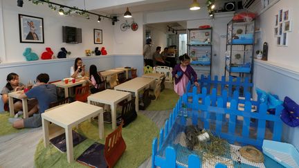 Un café à lapins ouvre ses portes à Hong Kong