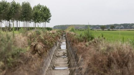 Un canal d'irrigation et de collecte des eaux de pluie à sec en raison du manque de précipitations à Terranova, dans le Piémont (Italie), le 23 juin 2022. (ANDREA CARRUBBA / ANADOLU AGENCY / AFP)