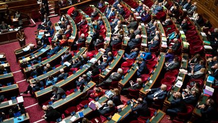 La séance de questions au gouvernement au Sénat, le 8 mars 2023, à Paris. (XOSE BOUZAS / HANS LUCAS / AFP)