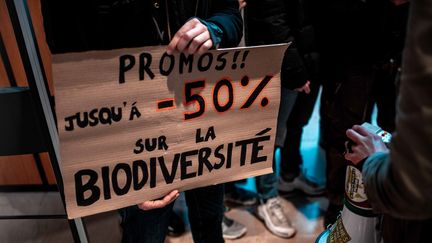 Des manifestants protestent contre la surconsommation au centre commercial des Quatre temps, à La Défense (Paris), le 29 novembre 2019. (QUENTIN BELLOIR / HANS LUCAS / AFP)