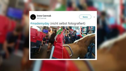 Un passager est monté à bord d'un train autrichien&nbsp;avec son cheval, mercredi 22 août. (IRENE CZERMAK / TWITTER)