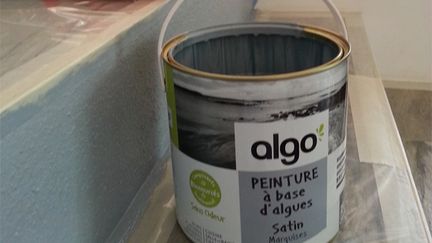 &nbsp; (La peinture à base d’algues est bien meilleure pour la qualité de l’air © Radio France | Anne-Laure Barral)