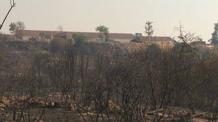 Incendie en Ardèche :&nbsp;le feu est fixé, 1 200 hectares partis en&nbsp;fumée (FRANCE 2)